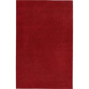 Červený koberec Hanse Home Pure, 160 x 240 cm