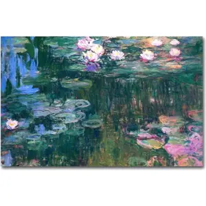 Nástěnná reprodukce na plátně Claude Monet, 45 x 70 cm