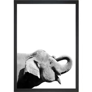 Plakát 24x29 cm Damarion Elephant – Tablo Center
