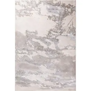 Produkt Šedý koberec 230x160 cm Aurora - Asiatic Carpets