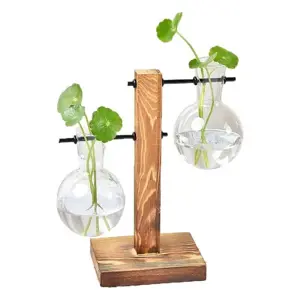 Produkt Stojánek s vázami pro množení rostlin