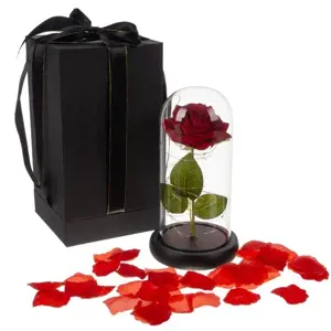 Produkt Zaparkorun Svítící věčná růže v luxusním balení