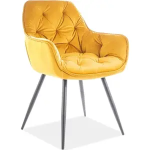 Casarredo Jídelní čalouněná židle CASA 11009 velvet žlutá curry/černá