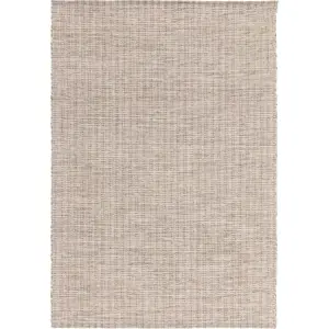 Produkt Béžový koberec 200x290 cm Gabrielle – Asiatic Carpets