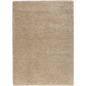 Produkt Béžový koberec 290x200 cm Shaggy Reciclada - Universal