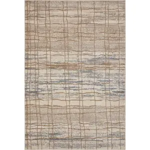 Produkt Béžový koberec 340x240 cm Terrain - Hanse Home