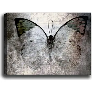 Obraz Tablo Center Fading Butterfly, 70 x 50 cm