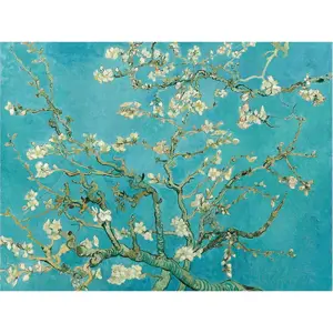 Produkt Reprodukce obrazu Vincenta van Gogha - Almond Blossom, 70 x 50 cm