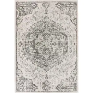 Produkt Šedo-krémový koberec 160x230 cm Nova – Asiatic Carpets