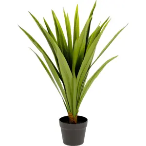 Produkt Umělá rostlina (výška 80 cm) Yucca – Kave Home