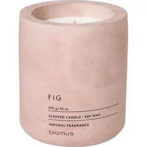 Vonná sojová svíčka doba hoření 55 h Fraga: Fig – Blomus
