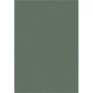 Produkt Zelený koberec 120x170 cm – Flair Rugs