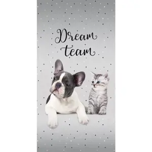 Produkt DETEXPOL Osuška - Pes a kočka - Dream Team - 140 x 70 cm - Detexpol